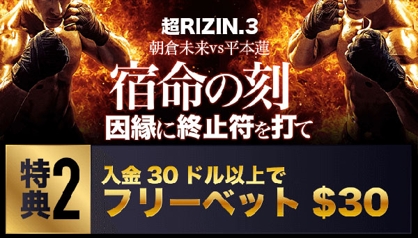 超RIZIN3プロモーション2